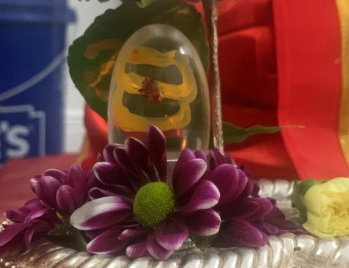 Maha Shiva Ratri 2026